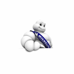 Michelin Vinter